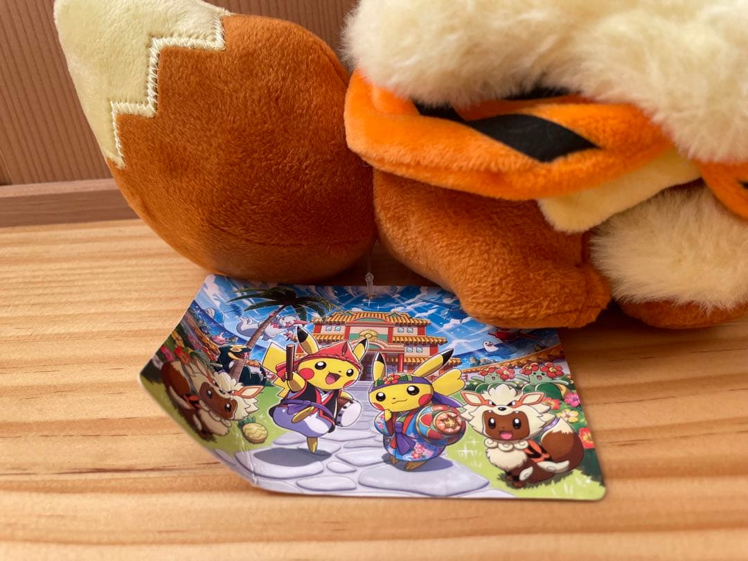 【希少】ポケセン沖縄限定 ウインディポンチョのイーブイ ぬいぐるみ 2体タグ付き