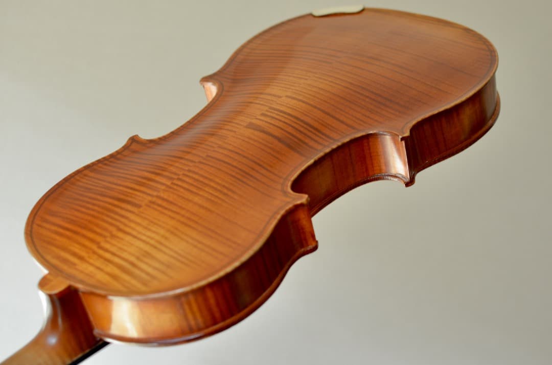【銘器】R.Paesold No.804 バイオリン 4/4 1991年