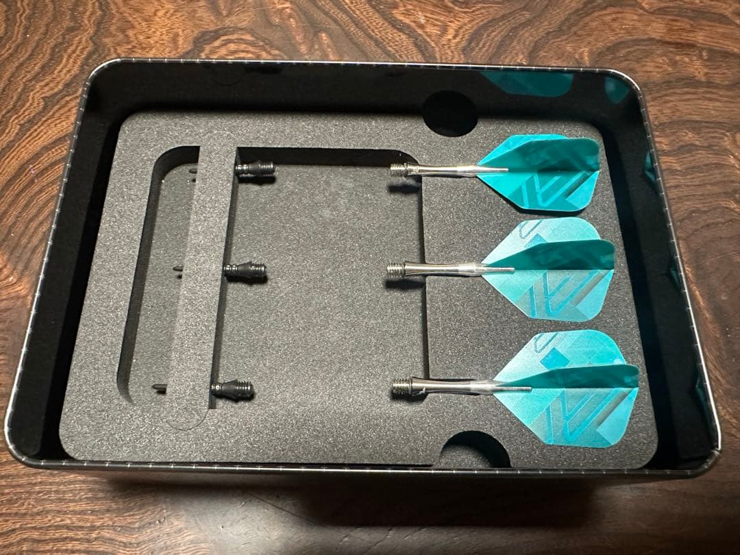 ダーツ TARGET ROVE 10 20g