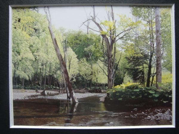 百瀬智宏【水無月の蝉時雨】希少画集画、状態良好、新品高級額装付