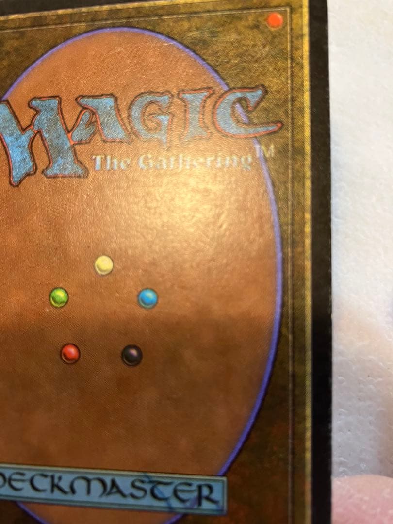 マジック:ザ・ギャザリング MTG Taiga