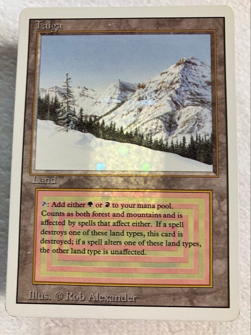 マジック:ザ・ギャザリング MTG Taiga