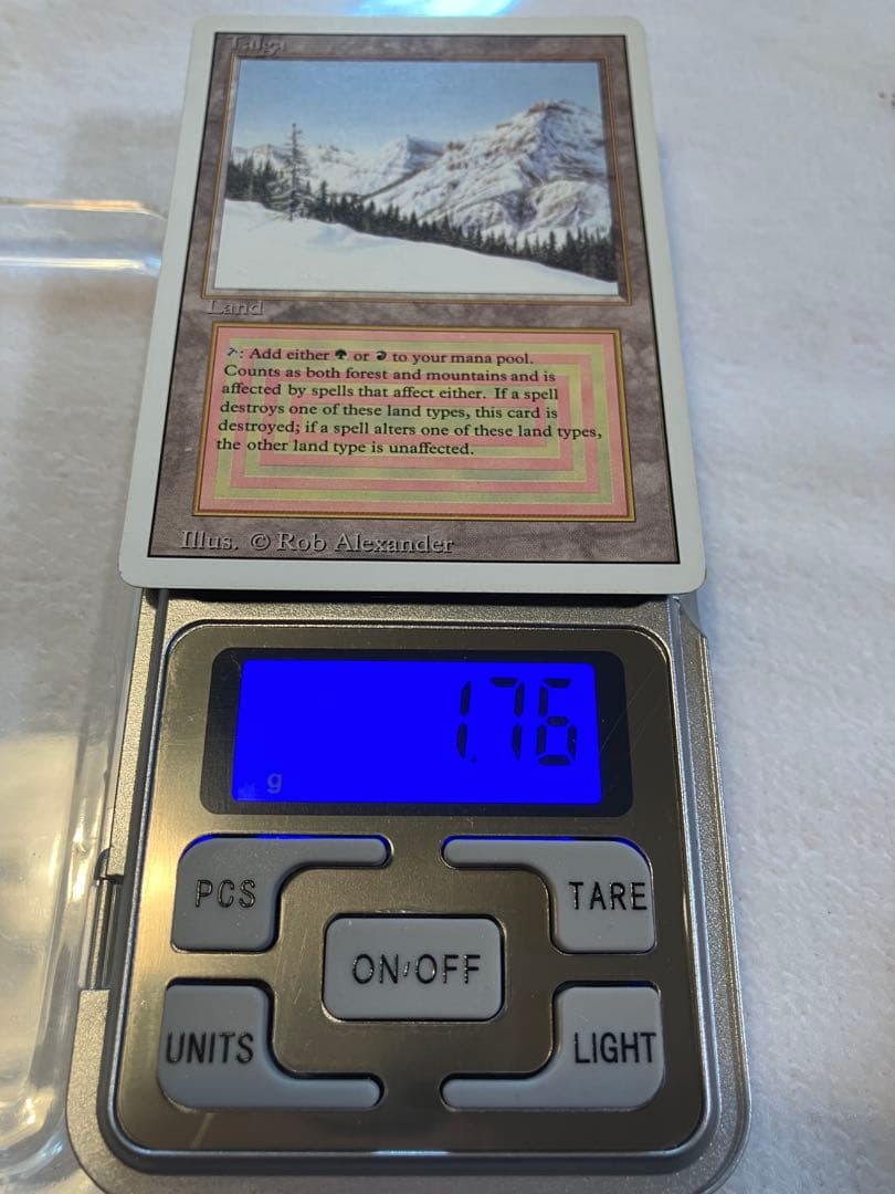 マジック:ザ・ギャザリング MTG Taiga