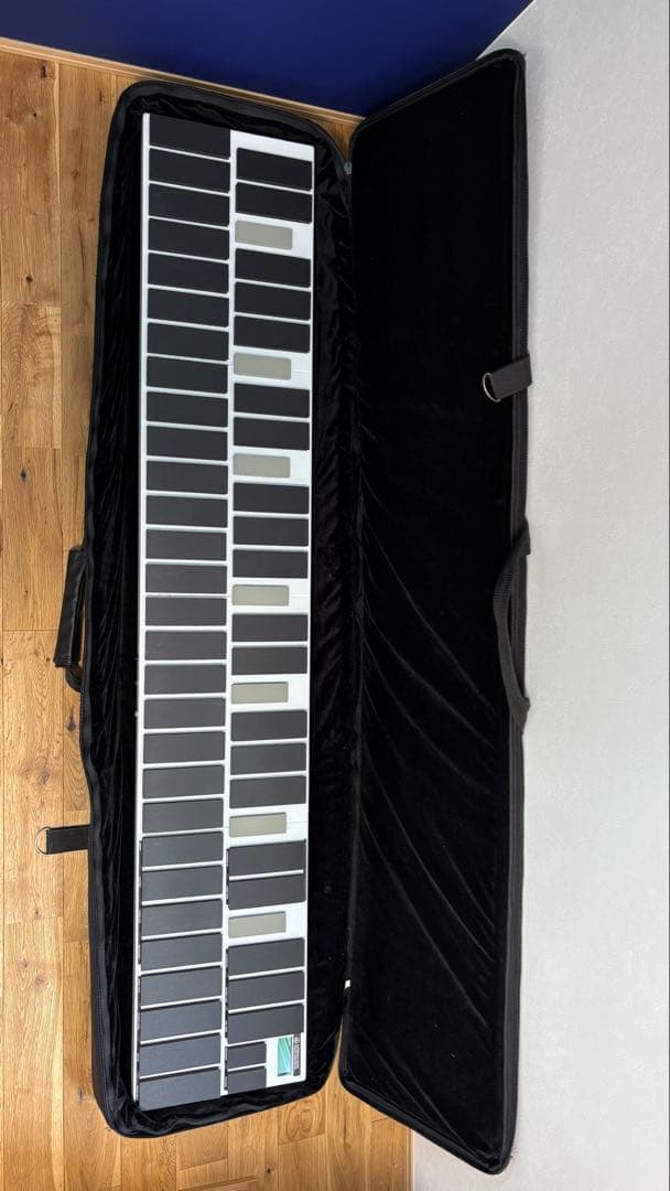 らら様専用】VIBEKAT alternate mode 4オクターブ エレキ