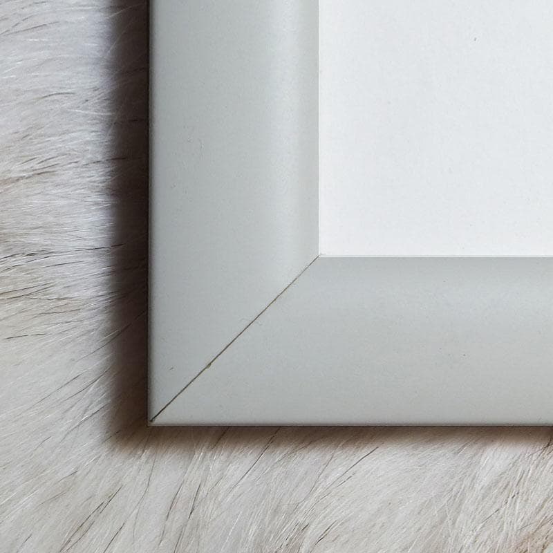 ロドニー2/ロドニー グリーンブラット/額装作品