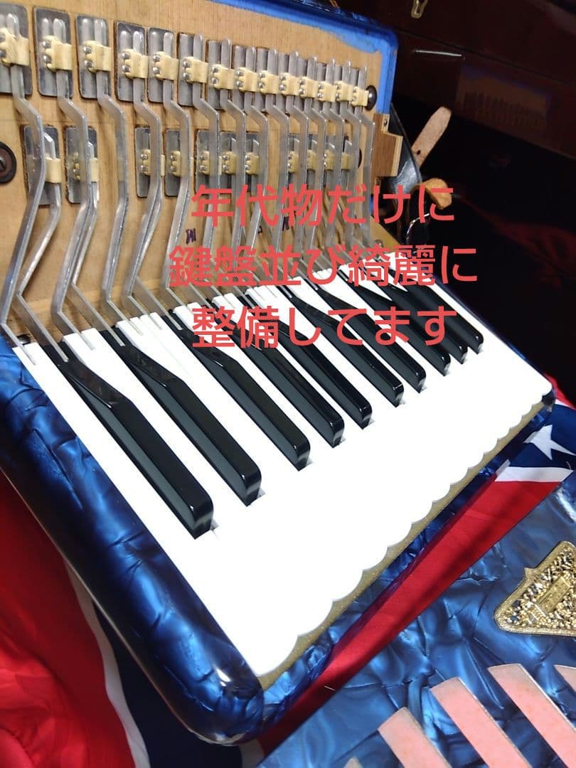 美品即演奏可）TAMBO SOPRANO アコーディオン 青【信頼の日本製】