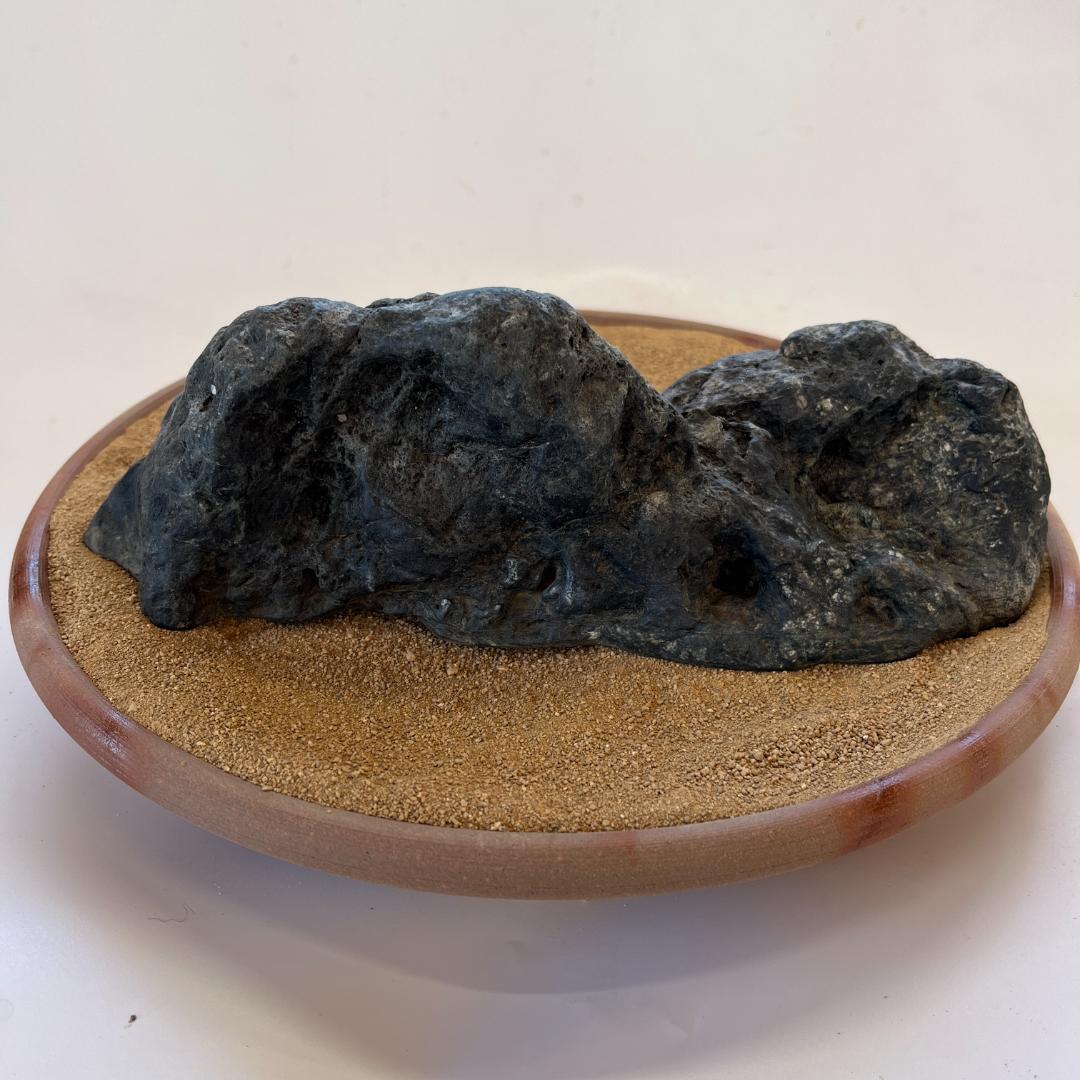 佐治石〈28〉【Taiyoメダカ】