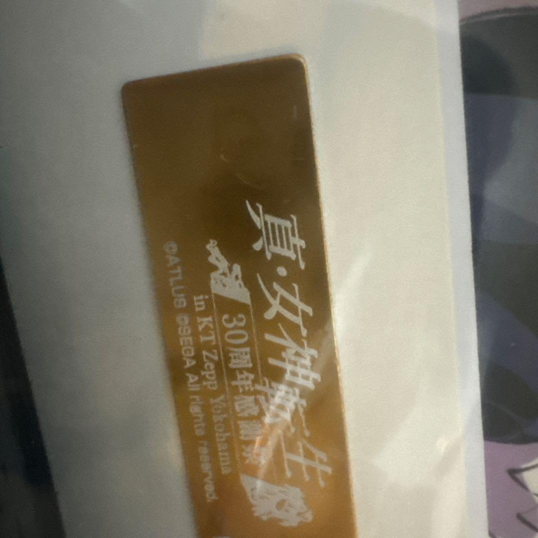 真・女神転生　30周年記念感謝祭　複製原画　イラストボード　【未使用】