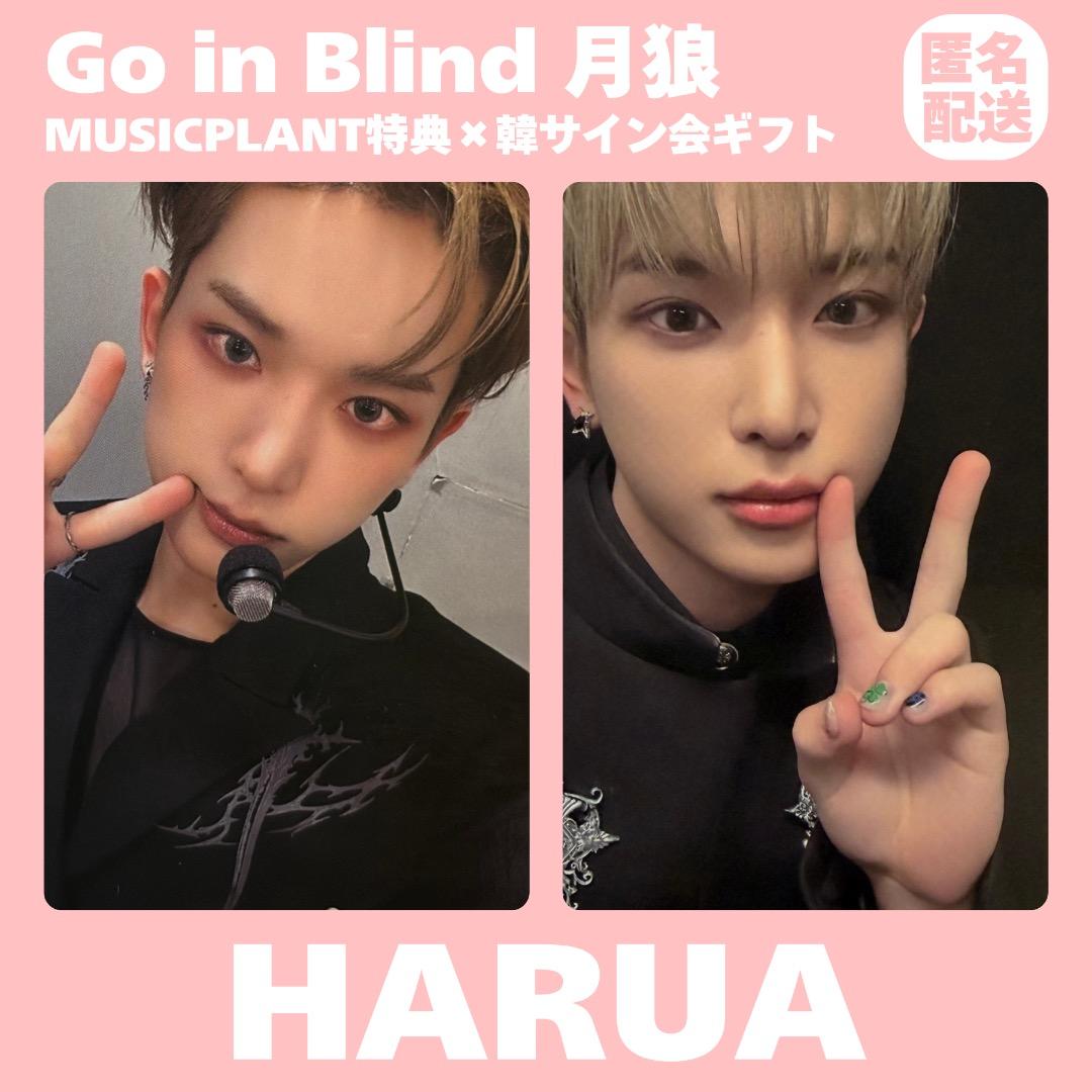 &TEAM HARUA 月狼 MUSICPLANT 韓国 サイン会 トレカ 限定 - メルカリ