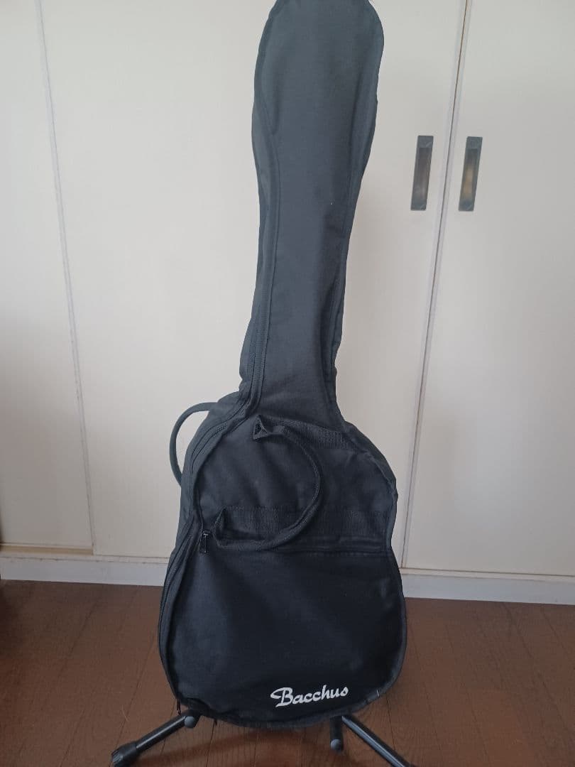 バッカス(Bacchus) エレキギター　ストラト