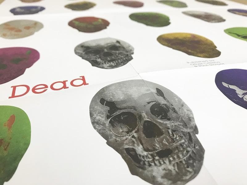 額装品/The Dead Folded/ 2009年 ダミアンハースト/ポスター