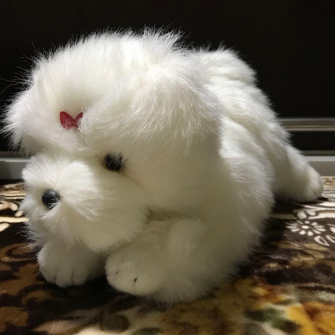 ぬいぐるみ　犬　マルチーズ　ファースト社　タグ付き　美品❣️