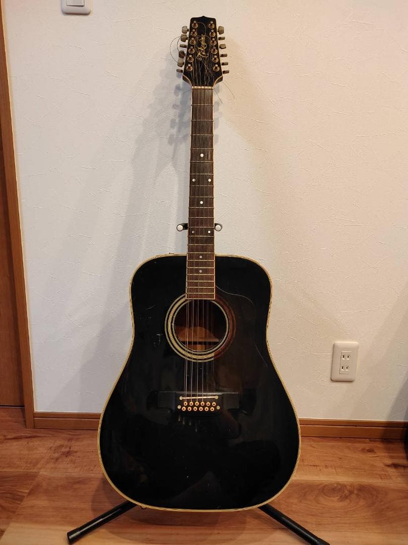 タカミネ 12弦ギター エレアコ アコースティック ギター アコースティックギター タカミネ 12弦 エレアコ」の人気商品一覧