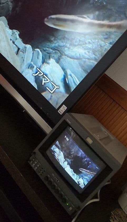 ソニー PVM-9041Q トリニトロン モニター ブラウン管 テレビ 9型
