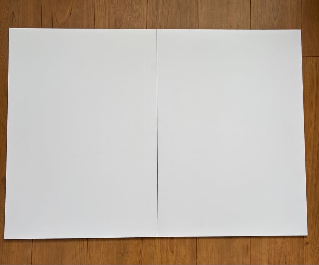 SEVENTEEN ジョンハン　パネル　マスタニム　マスター　NEW