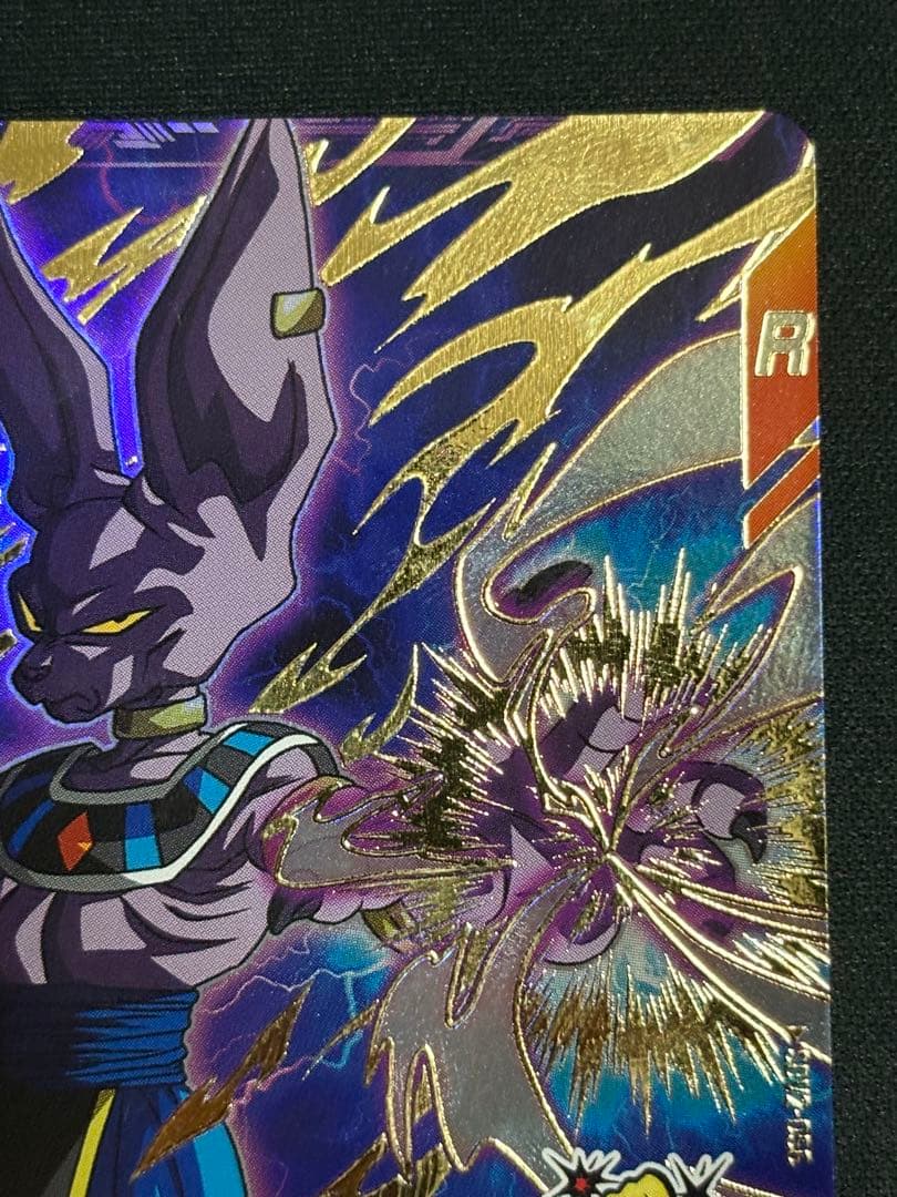 SDV2-056 GDR ビルス