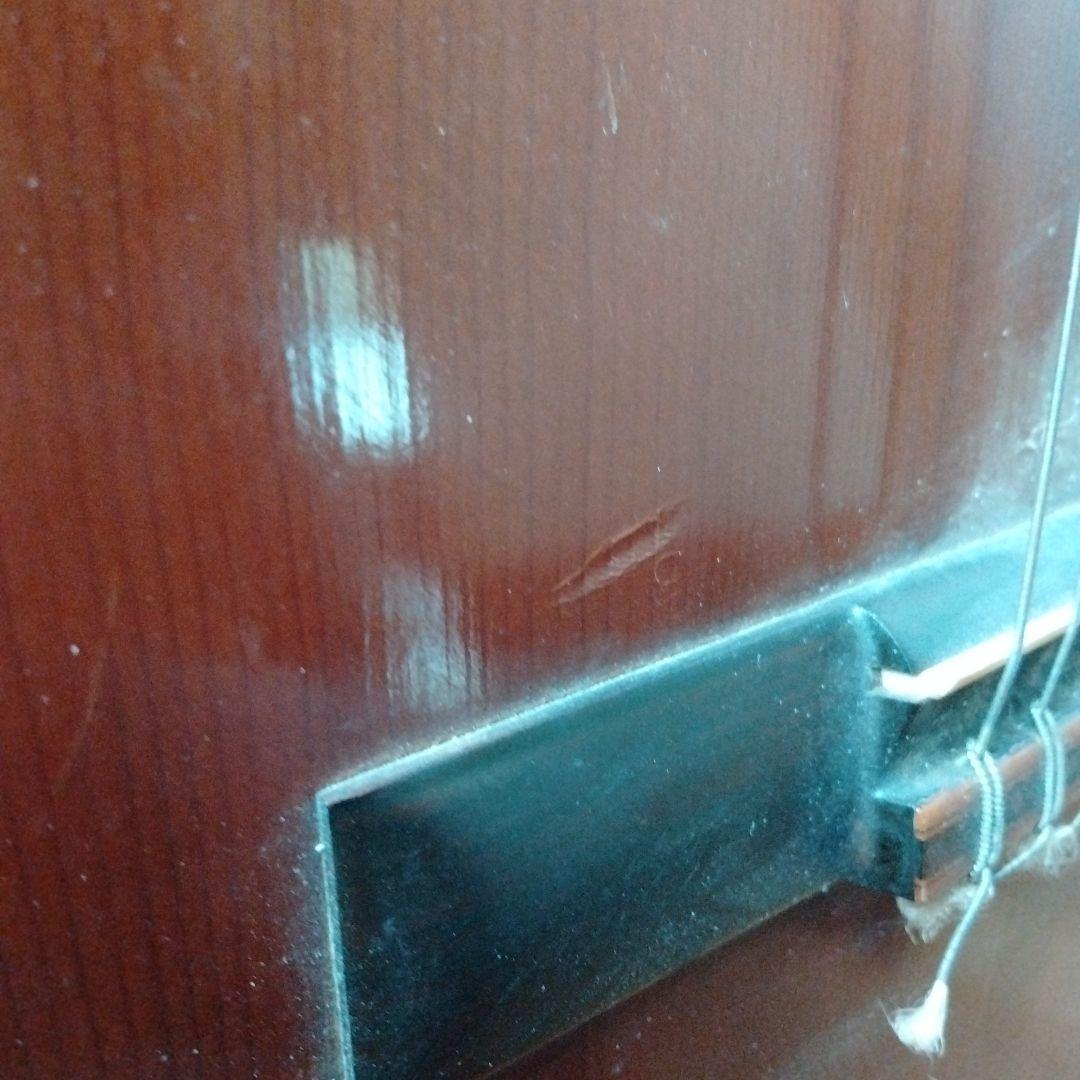 ZEN-ON GUT GUITAR アコースティックギター