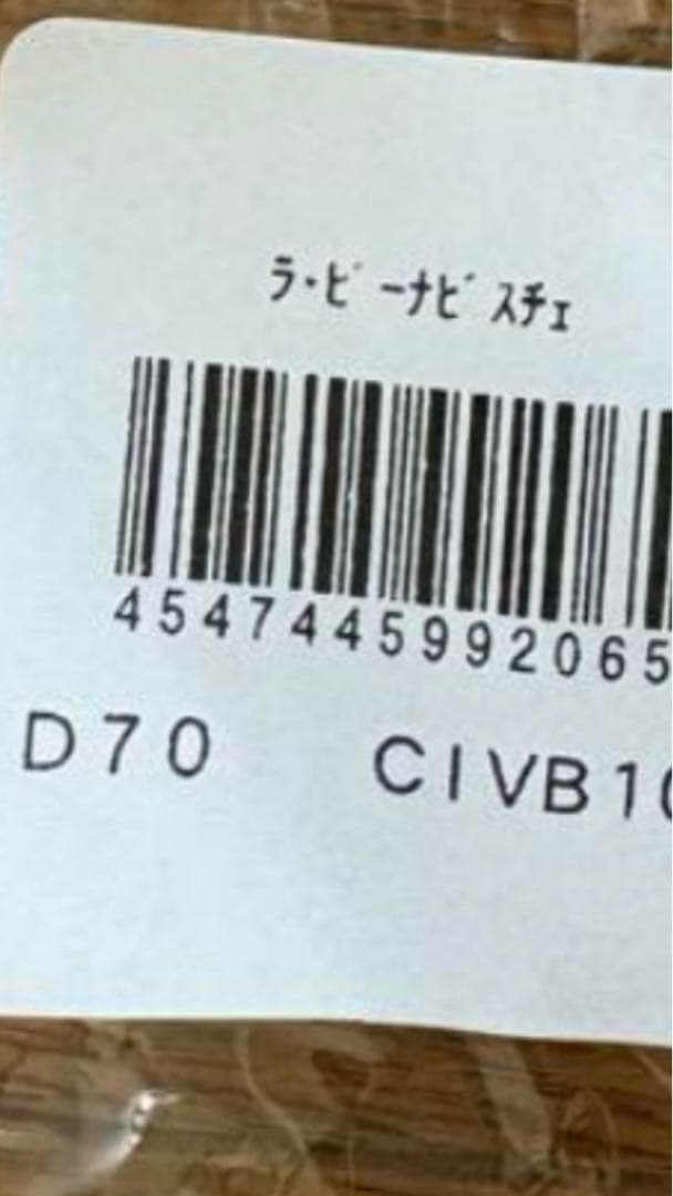 2025年購入セモアブライダルインナーラビーナビスチェ D70LaVénus