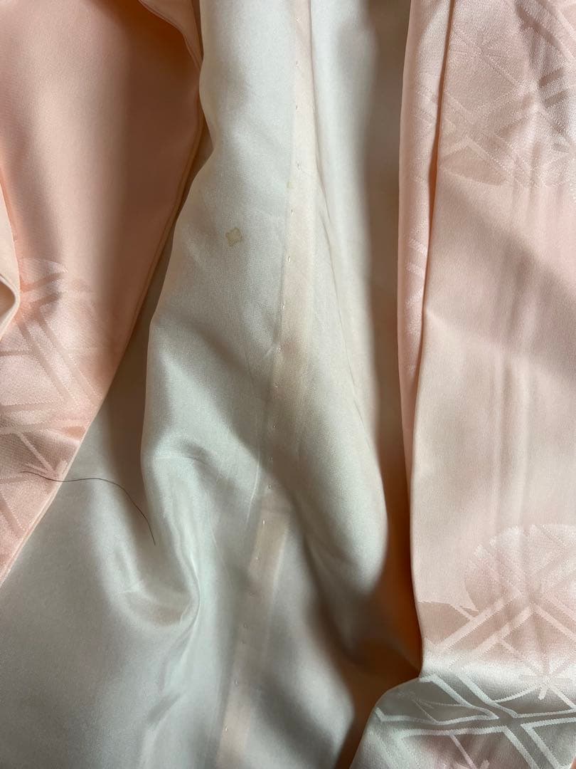 振袖 成人式 藤文様 美品 長襦袢セット