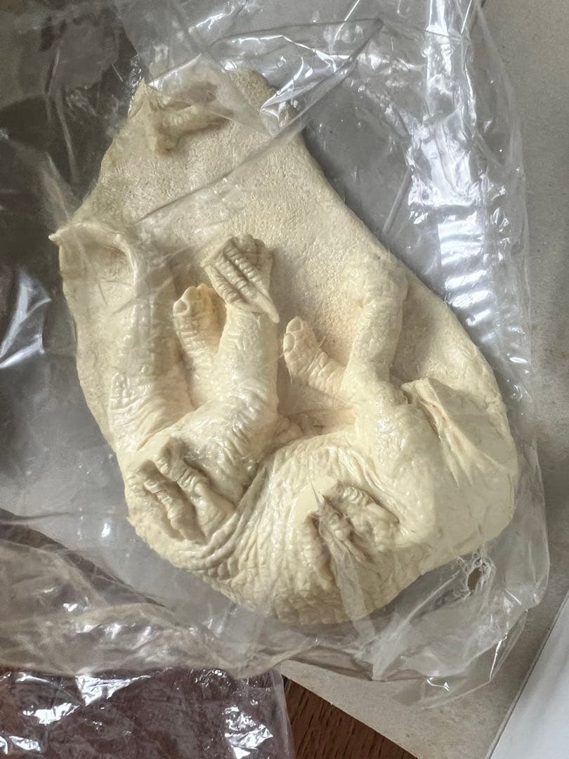 海洋堂 ヴェロキラプトル レジンキット 恐竜 動物 フィギュア 海洋堂