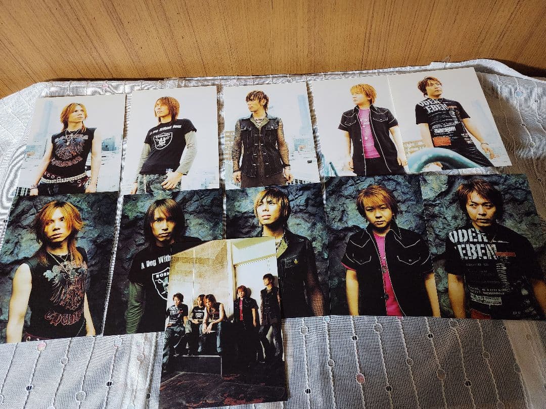 Janne Da Arc ARCADIA 2004 ポストカード11枚