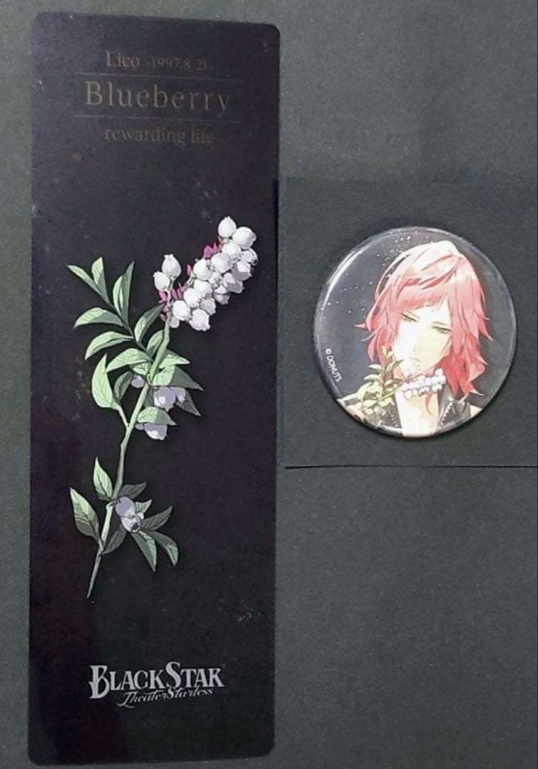 ブラックスターブラスタブラックツアーブラツアギィ缶バッジ栞楽曲本