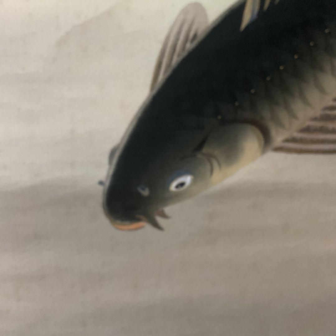 八十三翁 晴山筆 【 松に緋鯉 真鯉図 】 絹本彩色画掛け軸