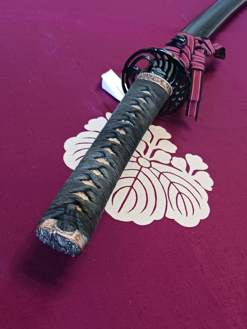 居合模造刀、本確居合者、居合女子、鑑賞、向き、本サメ本木、鍔刃渡り61cm、