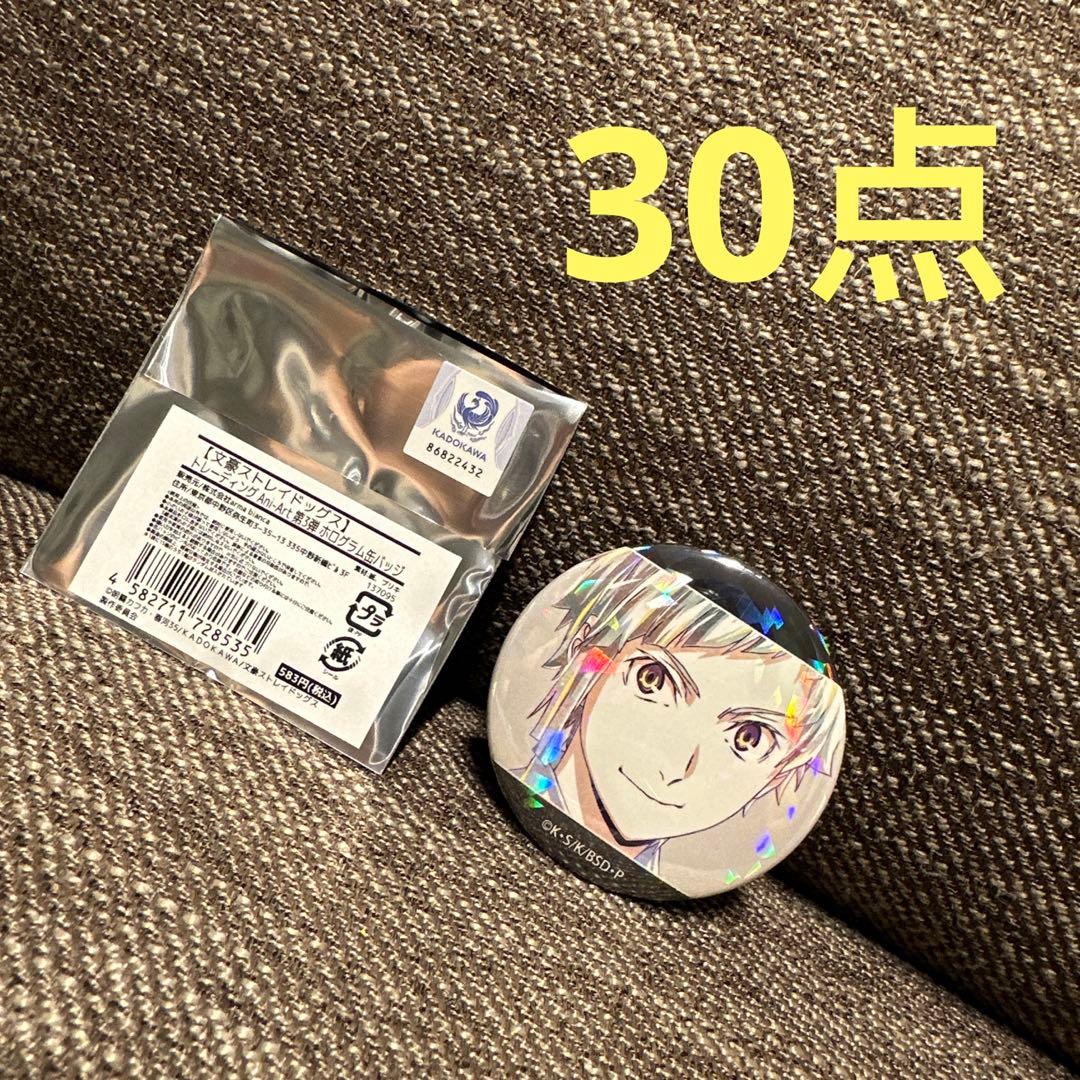 文豪ストレイドッグス Ani-Art ホログラム缶バッジ 中島敦 30点セット