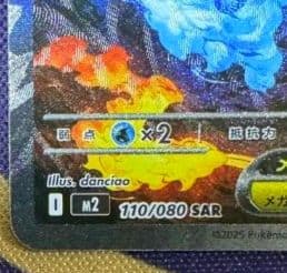 【即日発送】メガリザードンxex sar