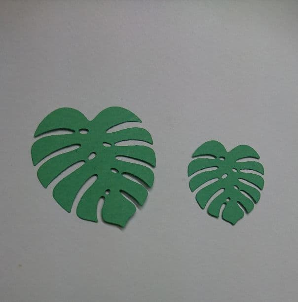 クラフトパンチ《夏物オーダー受付中！》