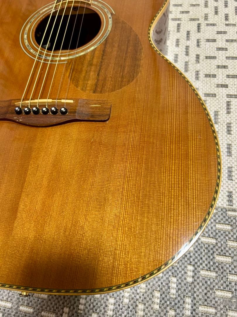 GREG BENNETT design SAMICHエレアコ(OM-15CE) ブランド