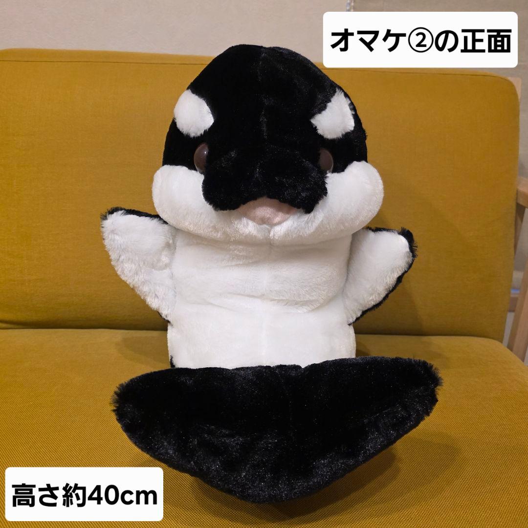 神戸須摩シーワールド　オルカくじ　１等　シャチ　ぬいぐるみ　ラベンダー　オマケ付