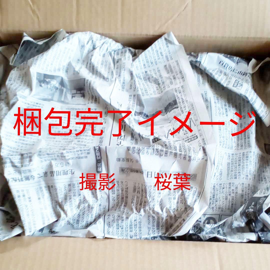 機動戦士vガンダム ガンプラ mg v2アサルトバスターガンダム 未組立