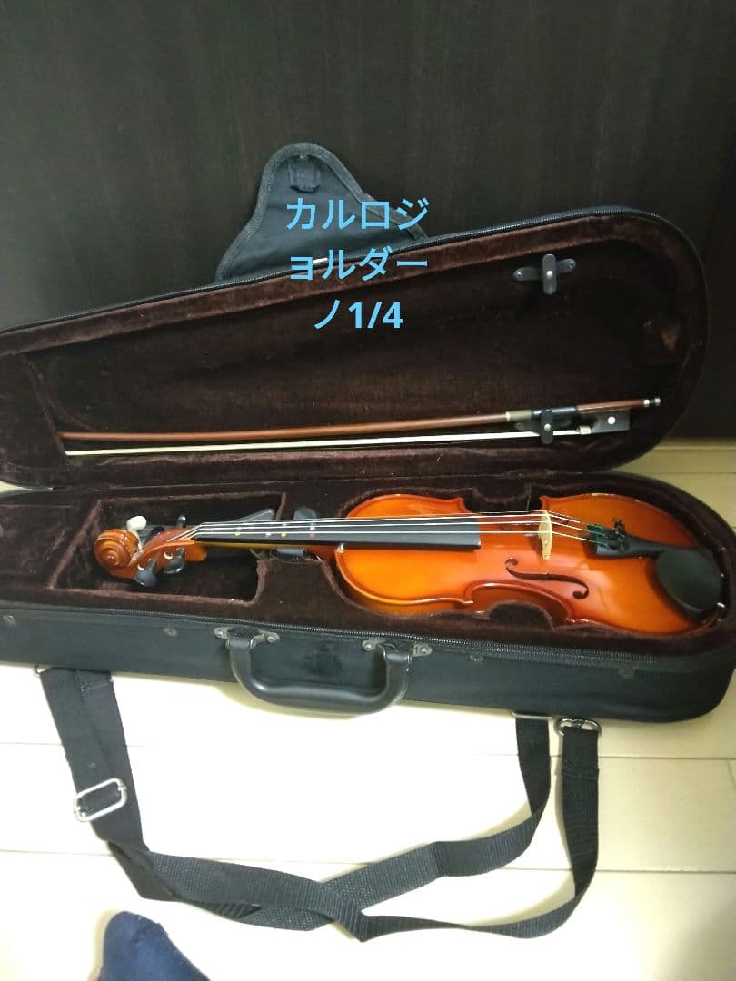 Carlo Giordano vs-1 1/4 2013年製