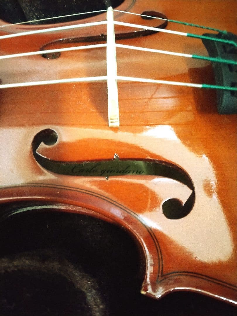 Carlo Giordano vs-1 1/4 2013年製