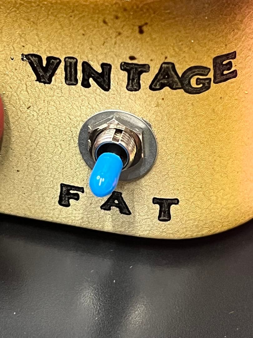 ギター DeliciousTaylormade The Mars Wah