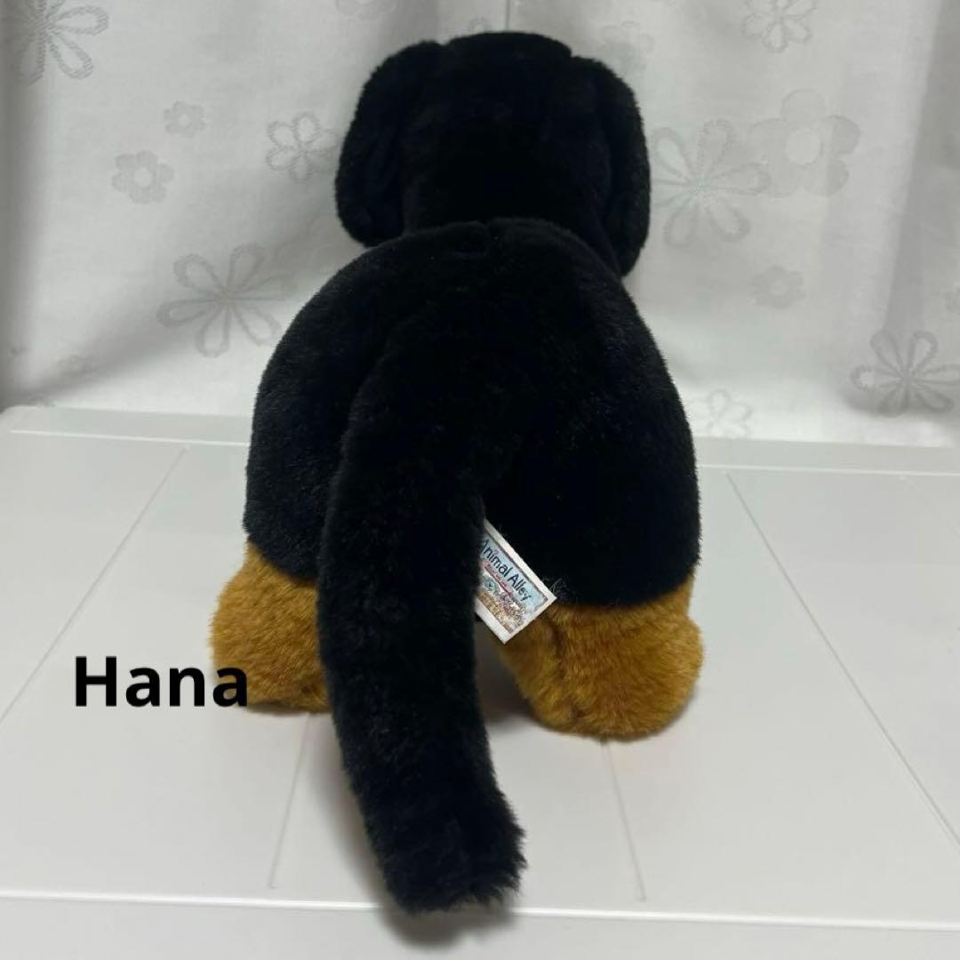 激レア⁉︎ Animal Alley ダックスフンド ぬいぐるみ 黒 インテリア