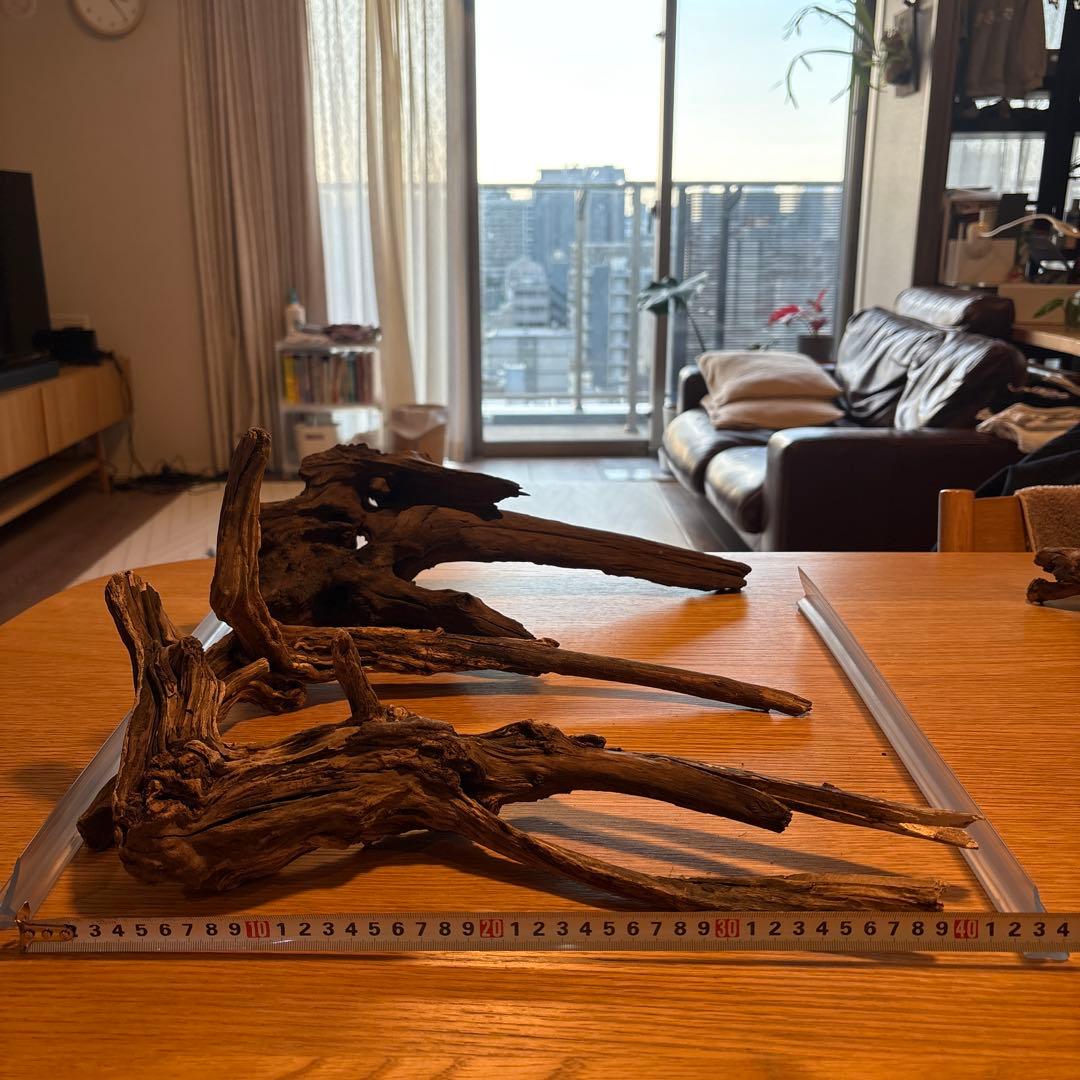 早い者勝ち】ADA流木3本、他流木2本の通販はau PAY マーケット - 輸入