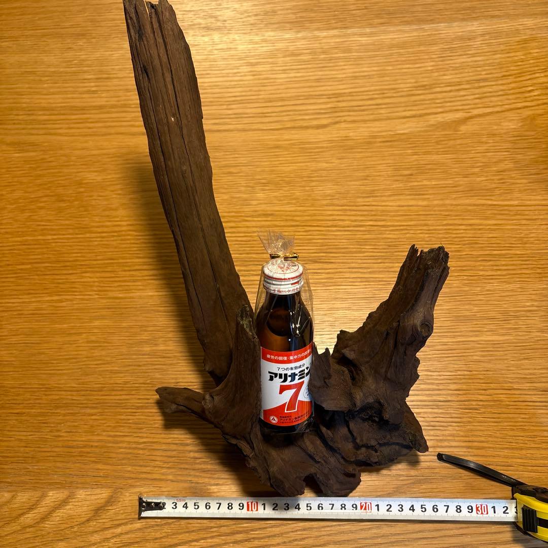 早い者勝ち】ADA流木3本、他流木2本の通販はau PAY マーケット - 輸入