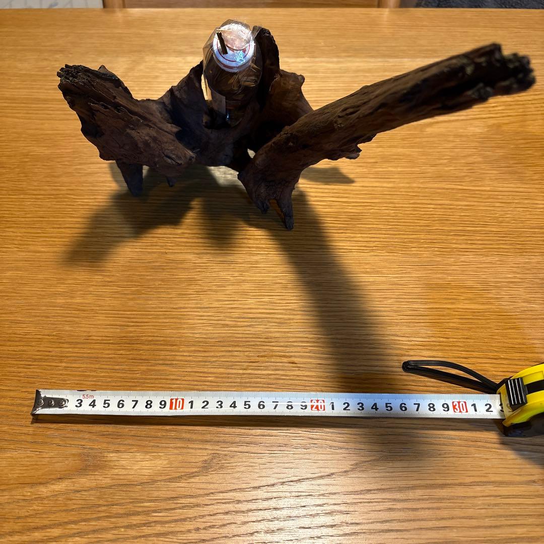 早い者勝ち】ADA流木3本、他流木2本