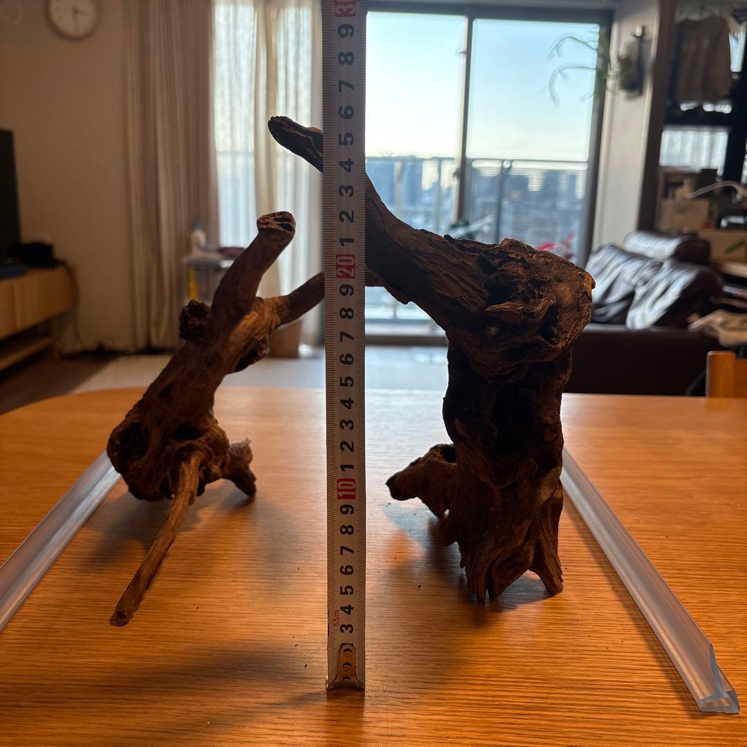 早い者勝ち】ADA流木3本、他流木2本