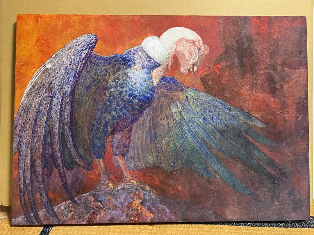 日本画 アンデスコンドル 鳥 赤 B1サイズ