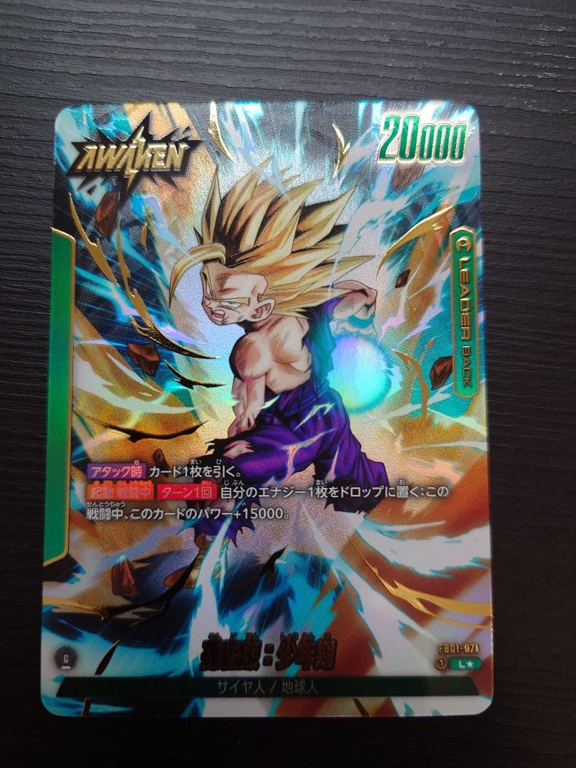 孫悟飯 シン コラボ】ドラゴンボールZ アマダPPカード 550 小さな巨人