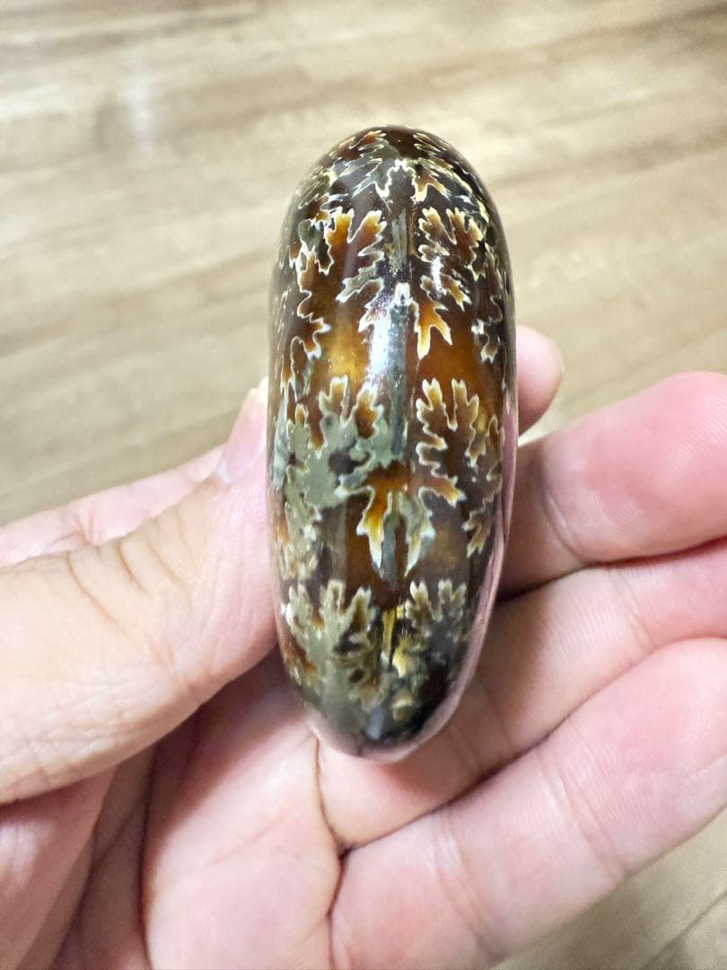 極美品マダガスカルのアンモナイト化石 2点セット 本物保証 希少な共生