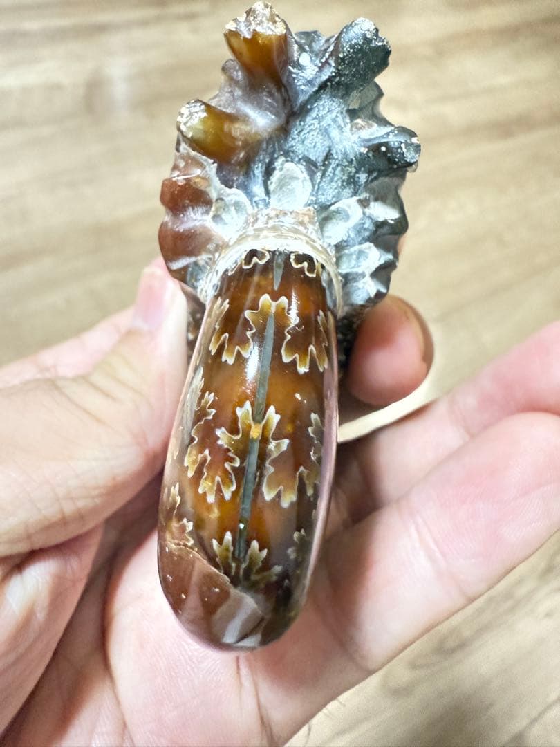 極美品マダガスカルのアンモナイト化石 2点セット 本物保証 希少な共生