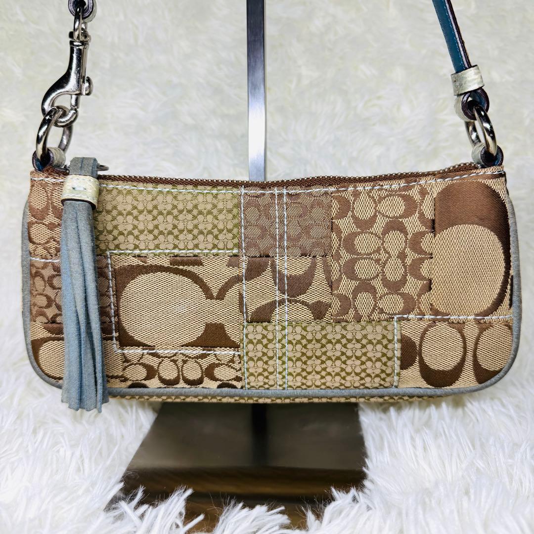 希少 COACH コーチ アクセサリーポーチ エキゾチック ハンドバッグ