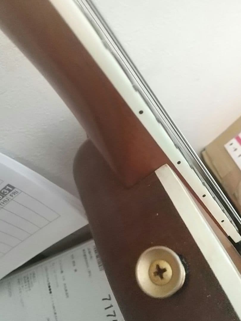 フジゲン/F&CアンボーイAnboy☆AF-55c オールマホガニー