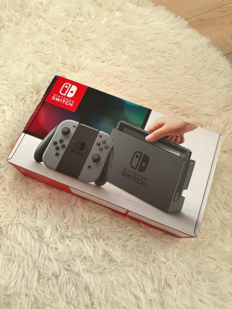 Nintendo Switch グレー ケース付き【訳あり】
