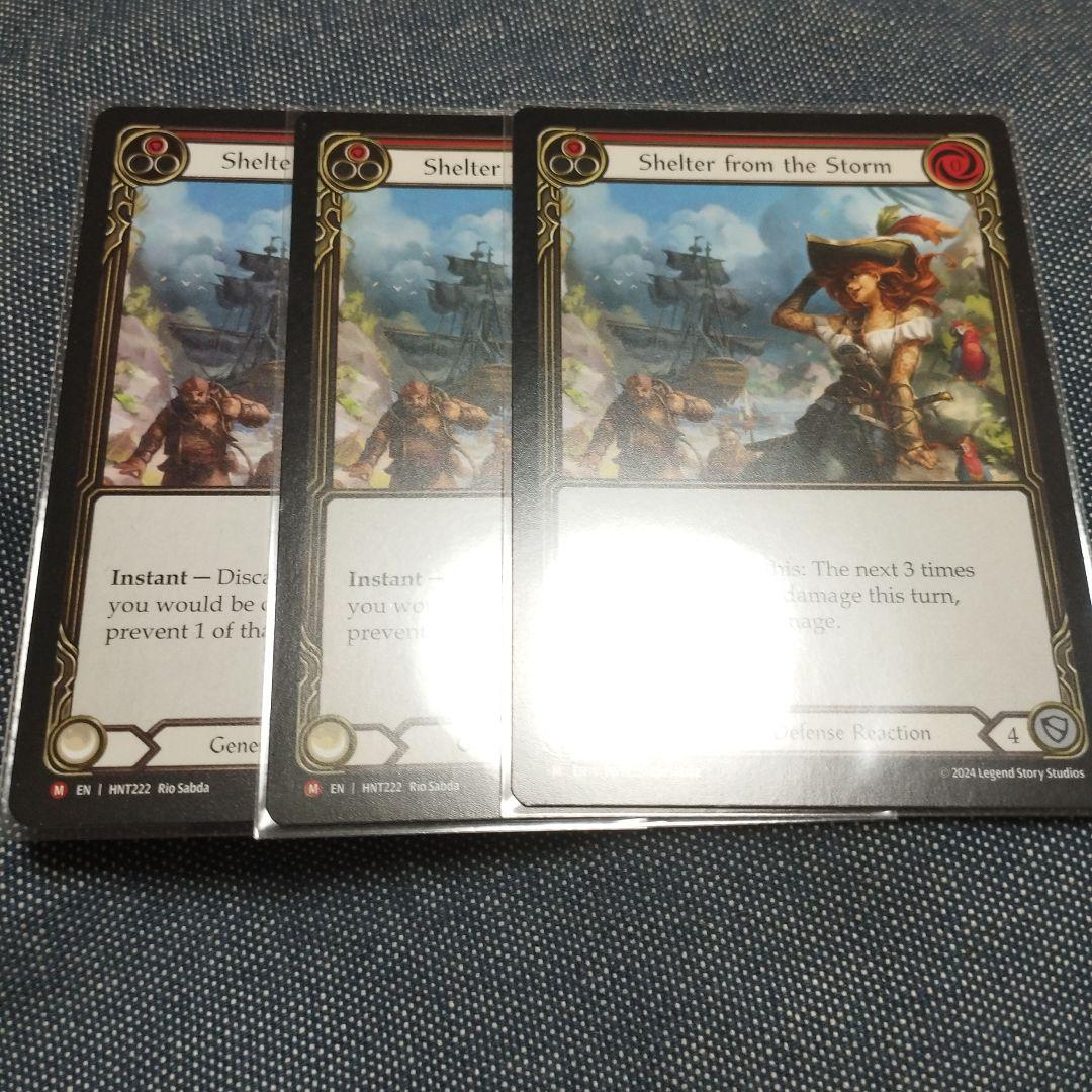 fab Shelter from the Storm / 嵐からの避難 3枚